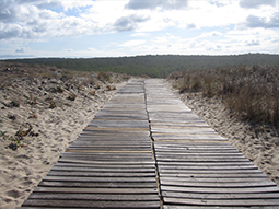 notre vocation : accompagner vos progrès