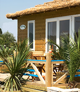 notre vocation : accompagner vos progrès